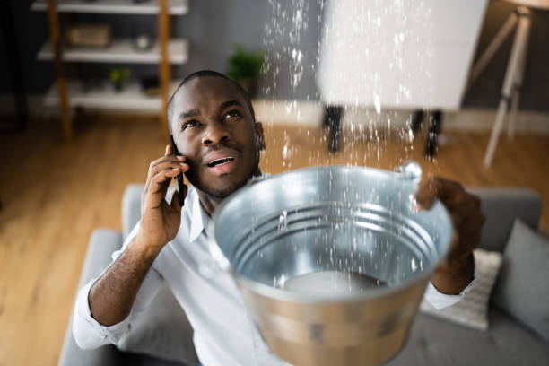 Best Flooded house restoration  in Silver City, NM