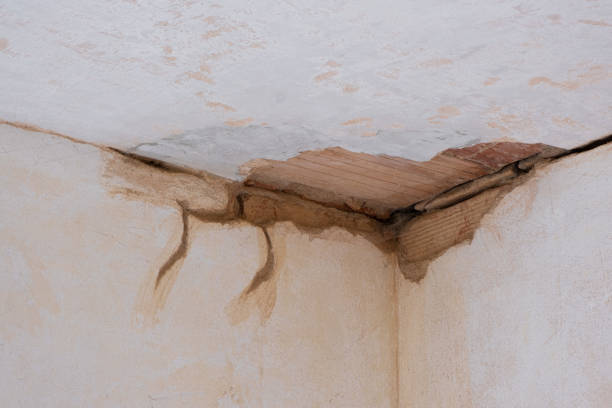 Best Basement water damage restoration  in Silver City, NM