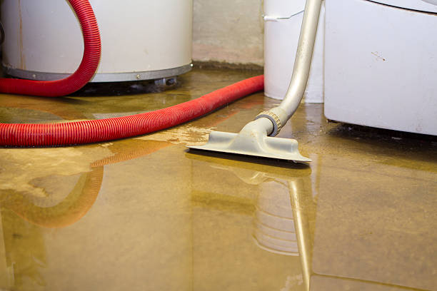 Trusted Silver City, NM Water damage restoration Experts