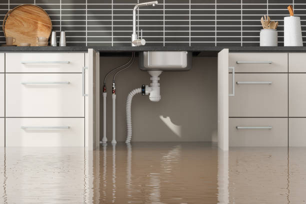 Best Water damage restoration process  in Silver City, NM