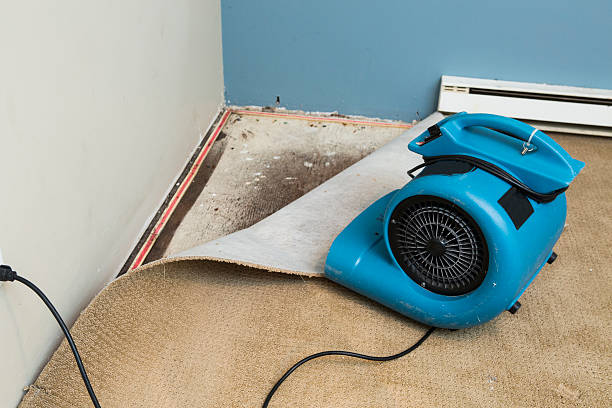 Best Ceiling water damage repair  in Silver City, NM